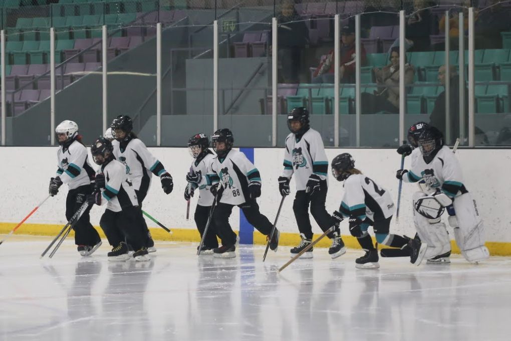 Ringette practice